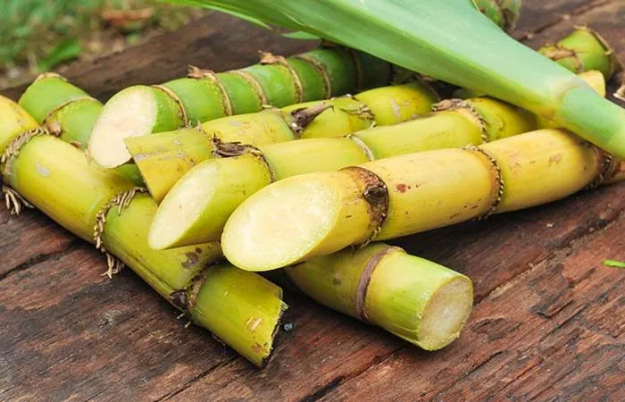 Tebu